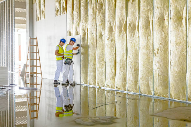 Best Insulation Installation Services in West Point, UT